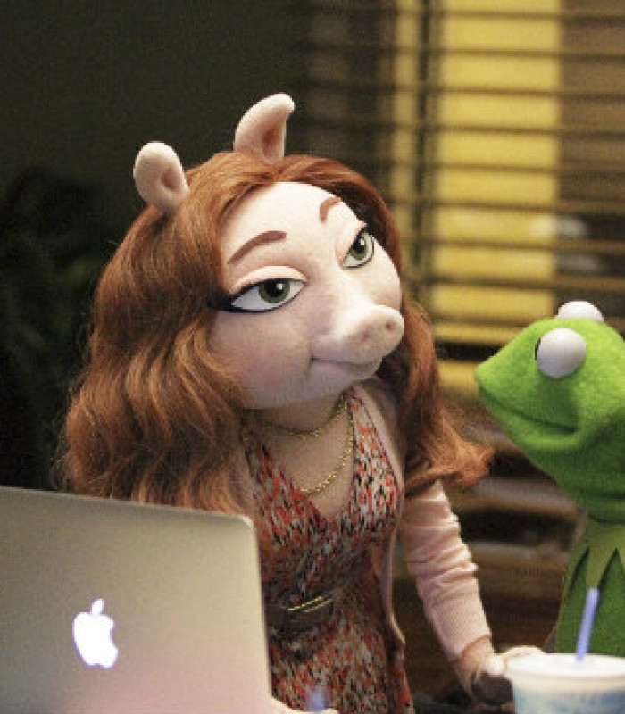 The Muppets: Series Premiere Review