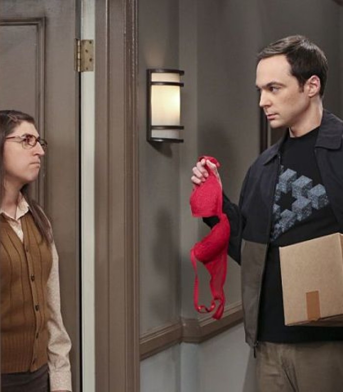 Big Bang Theory: “The Separation Oscillation” Review