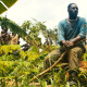 Beasts of No Nation Review