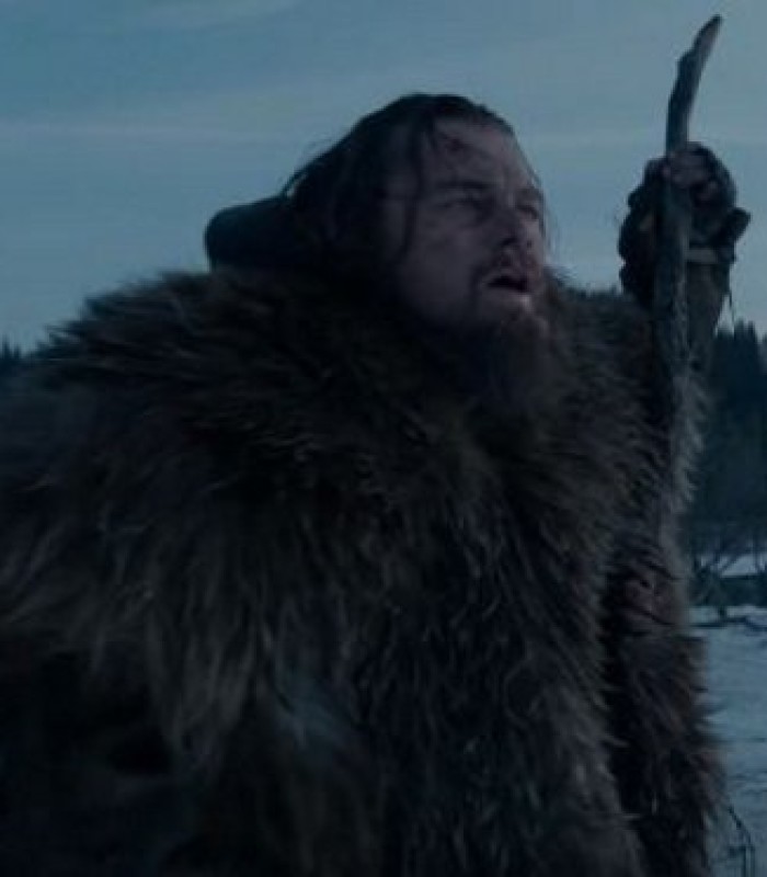 The Revenant Review